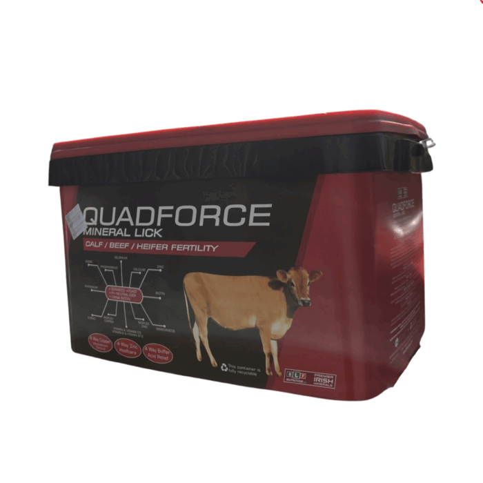 Calf/Beef/Heifer Fertility Bucket - Image 2
