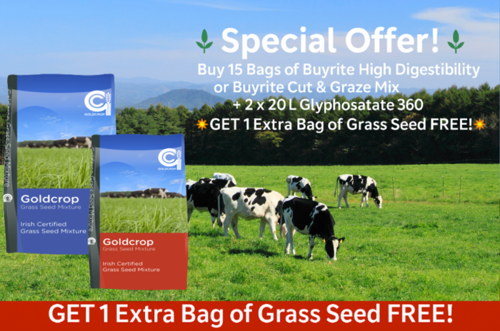 Grass Seed Promotion - Image 2