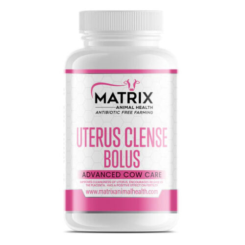 Uterus Cleanse