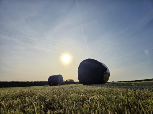 Silage Products