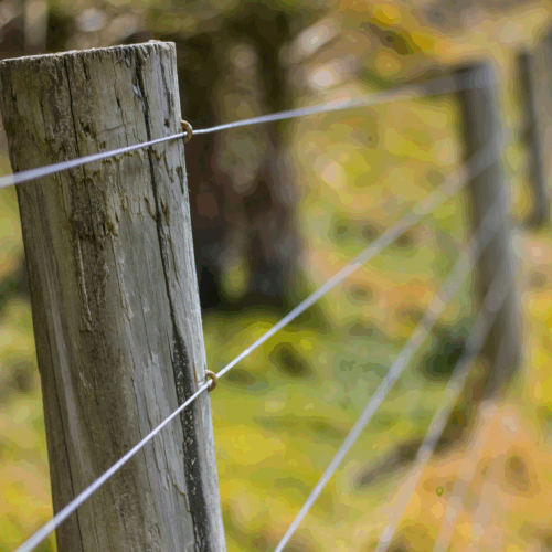 Fencing